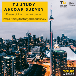 City with TU Study Abroad Survey text